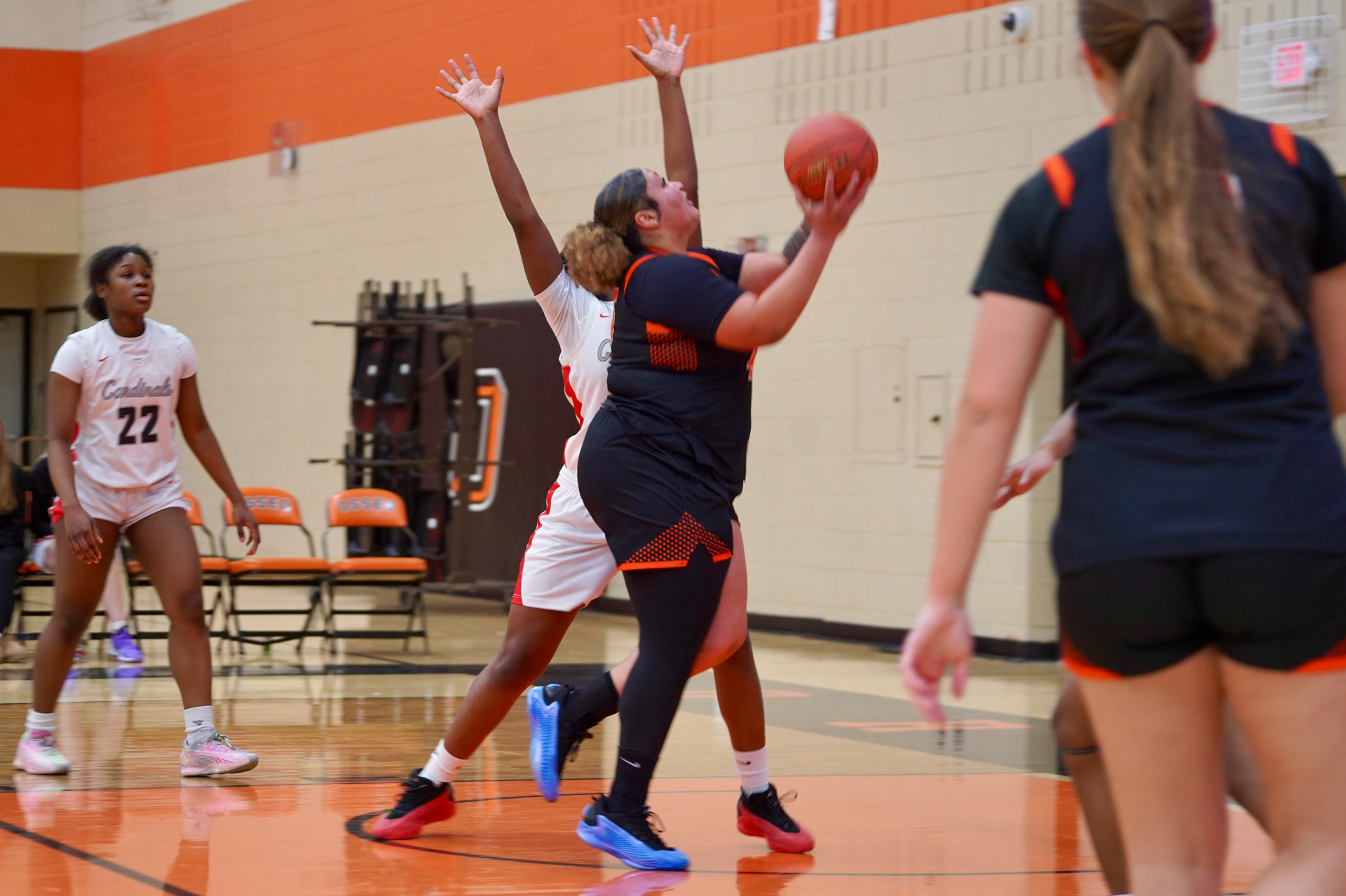 Orioles in action